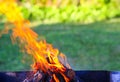 Firewood burning in a brazier outdoors Royalty Free Stock Photo