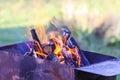 Firewood burning in a brazier outdoors Royalty Free Stock Photo