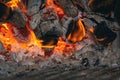 Firewood burning in a bright hearth. Warm fire from the bonfire Royalty Free Stock Photo