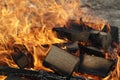 Firewood burning in fire. Bonfire on a picnic