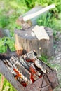 Firewood burning in outdoor brazier Royalty Free Stock Photo