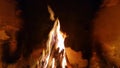 Firewood burns in the fireplace in the evening Royalty Free Stock Photo