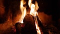 Firewood burns in the fireplace in the night Royalty Free Stock Photo