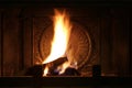 Firewood burns in the fireplace. Shooting at night. Royalty Free Stock Photo