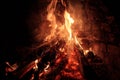 Firewood burns in the fireplace tongues of red flame Royalty Free Stock Photo