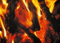 Firewood burns red flame Royalty Free Stock Photo