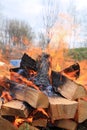 firewood in campfires Royalty Free Stock Photo