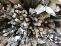 Firewood cut into pieces and stacked Royalty Free Stock Photo