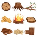 Firewood flat elements collection with tree stump branches cut logs circular segments planks campfire isolated illustration