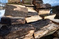 Firewood folded to dry in the yard. Carpinus betulus, the European or common hornbeam Royalty Free Stock Photo