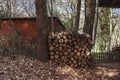 Firewood in the forest near the barn. Royalty Free Stock Photo