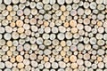 Firewood free-standing stack, seamless pattern Royalty Free Stock Photo