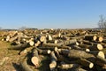 firewood, fresh cut on the highland Schwaebische Alb with wind wheels Royalty Free Stock Photo