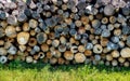 Firewood on a grass. Royalty Free Stock Photo