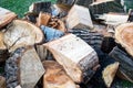 Firewood on green grass background. Select focus