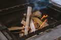 The firewood in the grill starts to burn. Preparation of coals for cooking in the open air in the barbecue