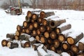 A row of sawn logs for a stove or fireplace. Royalty Free Stock Photo