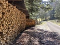 Firewood logs along the road in an alpine forest on the slopes of the Pilatus mountain massif, Schwarzenberg LU - Canton of Lucern Royalty Free Stock Photo