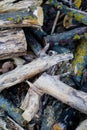 Firewood and logs in countryside house backyard Royalty Free Stock Photo