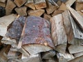 Firewood, logs stacked for drying Royalty Free Stock Photo