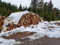 Firewood logs winter