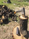 Firewood, oak, cut in pieces Royalty Free Stock Photo