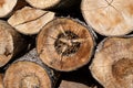 Firewood on a pile in a detailed view. Royalty Free Stock Photo