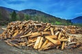 Firewood pile Royalty Free Stock Photo