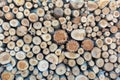 Firewood pile stacked chopped wood trunks, close-up wooden background