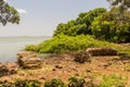 Firewood piles at Zege peninsula in Tana lake, Ethiop