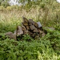 Firewood that is rotting away in the long grass Royalty Free Stock Photo