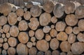 Firewood rounds, stacked at a fence