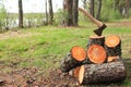 Firewood Splitting