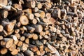 Firewood in a stack, alternative energy resources. Timber harvesting Royalty Free Stock Photo