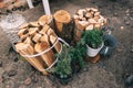 Firewood stack for Christmas fire on the backyard Royalty Free Stock Photo