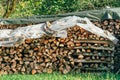 Firewood stack on farm, large pile of chopped wood