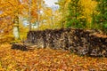 Firewood Stack under Trees Royalty Free Stock Photo