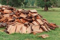 Firewood is stacked in autumn. Chopped pile of wood. Lots of wood from logs. Preparation of firewood for the winter. background te