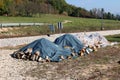 Firewood stacked in four piles covered with nylon protection against rain next to railroad tracks surrounded with grass and trees Royalty Free Stock Photo