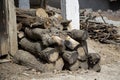 Firewood is stacked in front of a house in a rural area. pile of firewood