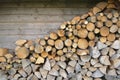 Firewoods stacked at the rustic wooden wall