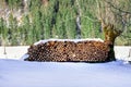 Firewood stacked. Winter alpine rural scene