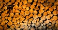 Firewood store texture Royalty Free Stock Photo