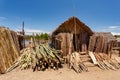 Firewood on street marketplace, Maroantsetra Madagascar