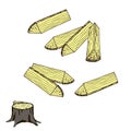 Firewood, stump for forestry industry