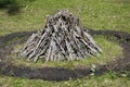 Firewood for a summer campfire