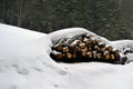 Firewood under the snow and inscription `Do not enter` in Czech.