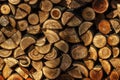 Firewood for the winter. Firewood for barbecue. A background made of wood. Cut and chopped logs with ready-made pieces of wood for Royalty Free Stock Photo