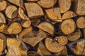 Firewood for the winter. Firewood for barbecue. A background made of wood. Cut and chopped logs with ready-made pieces of wood for