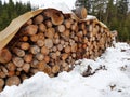 Firewood winter